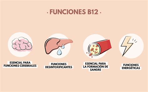 m.bmy12|b12 para que sirve.